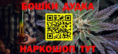 индика Аргун