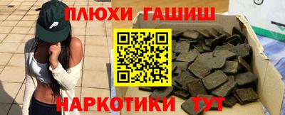 индика Аргун