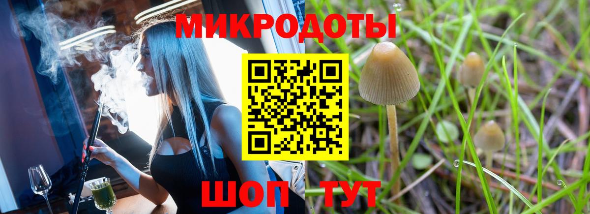 Великие Луки  Псилоцибиновые грибы MAGIC MUSHROOMS  Галлюциногенные грибы прущие грибы  Вход с VPN 